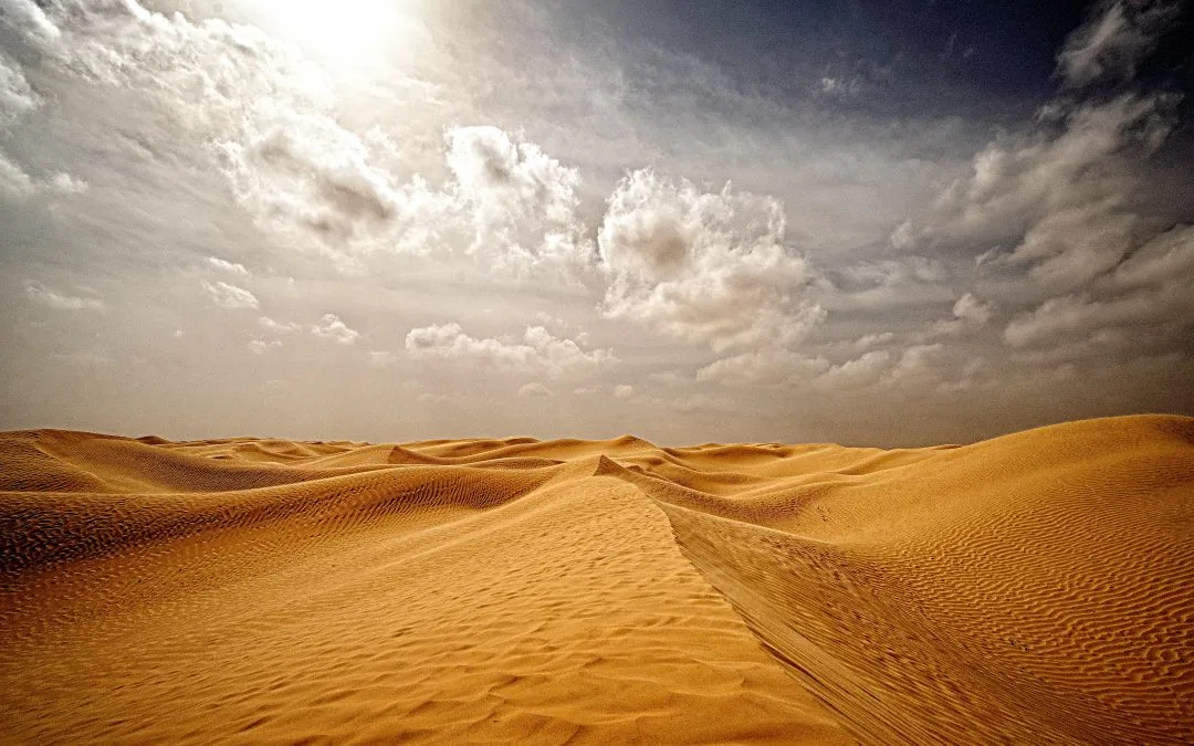 Lydia wollte nur noch weg – aber die Wüste hatte andere Pläne